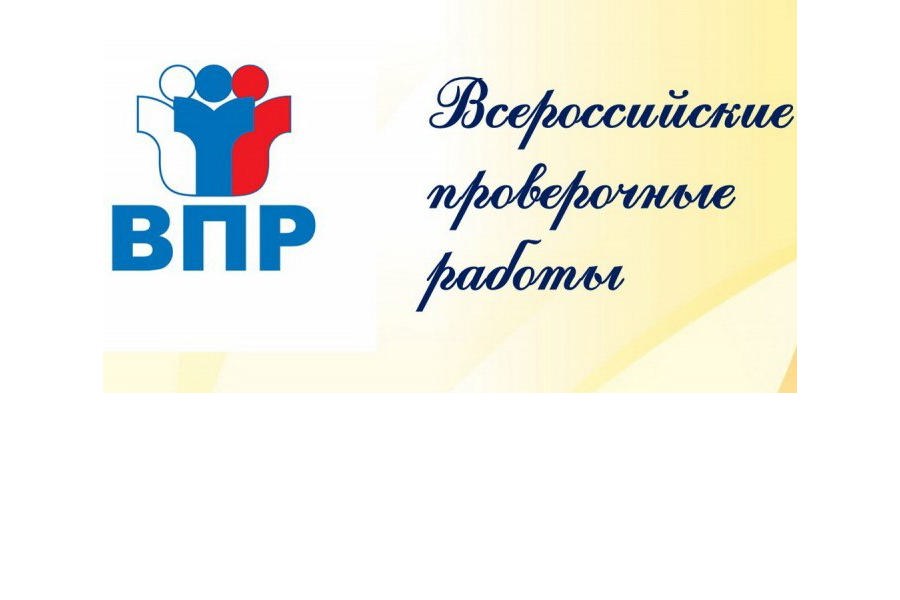 В школах столицы определено расписание проведения ВПР в 2025 году