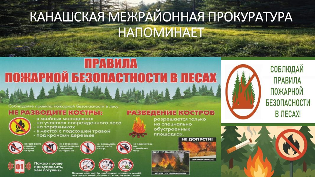 Правила пожарной безопасности в лесах