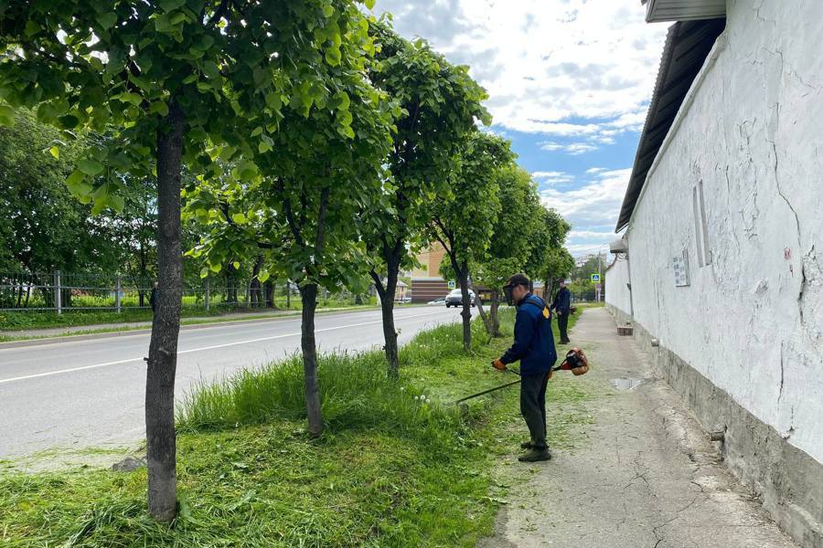 В Чебоксарах продолжаются работы по покосу травы и посадке цветов