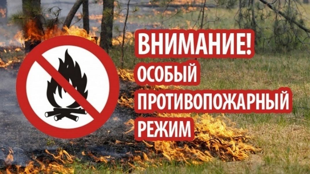 Напоминаем, что с 10 апреля на территории Чувашии установлен особый противопожарный режим