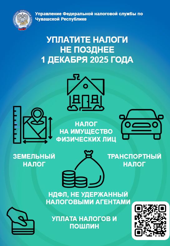 Уплатите налоги до 1 декабря 2025 г.