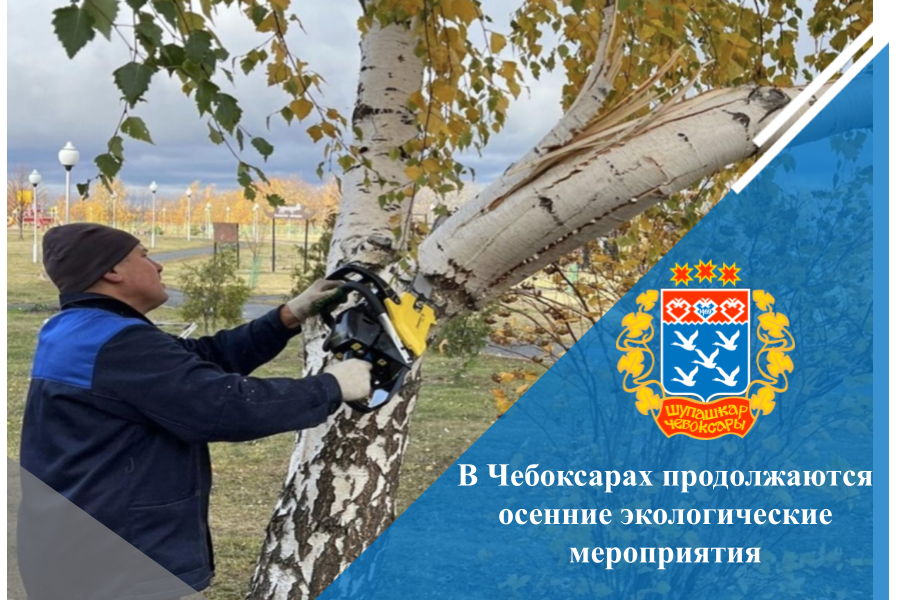 В Чебоксарах продолжаются осенние экологические мероприятия