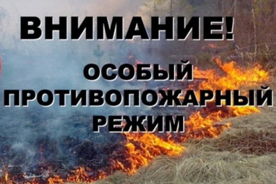 На территории Мариинско-Посадского муниципального округа установлен особый противопожарный режим