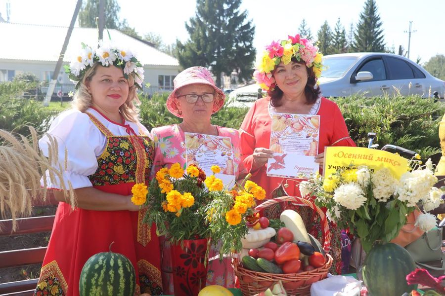 название выставки цветов плодов и овощей | Дзен