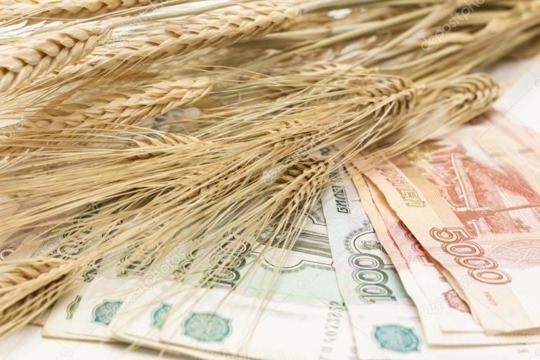 Меры соцподдержки по оплате ЖКУ за март оказали 2981 сельскому специалисту Чувашии