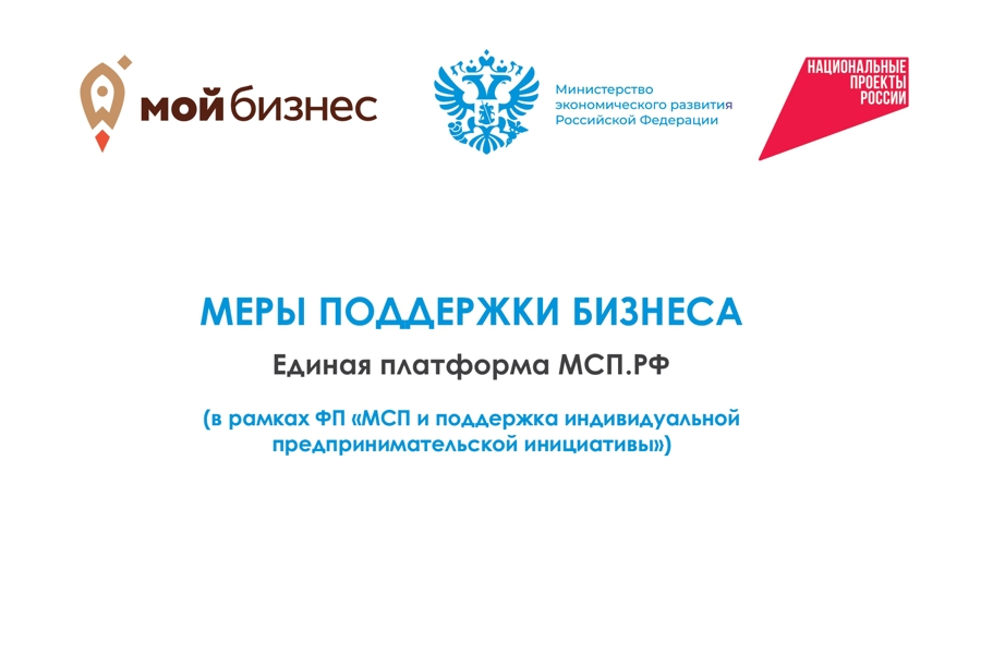 Меры поддержки бизнеса в рамках реализации национального проекта «Эффективная и конкурентная экономика». Единая платформа МСП.РФ.