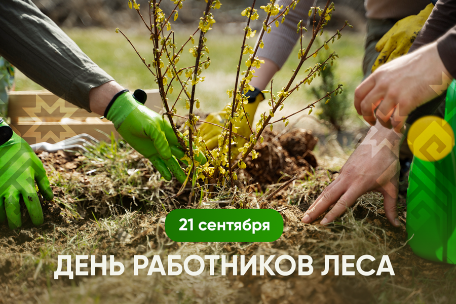 Поздравление Олега Николаева с Днем работников леса