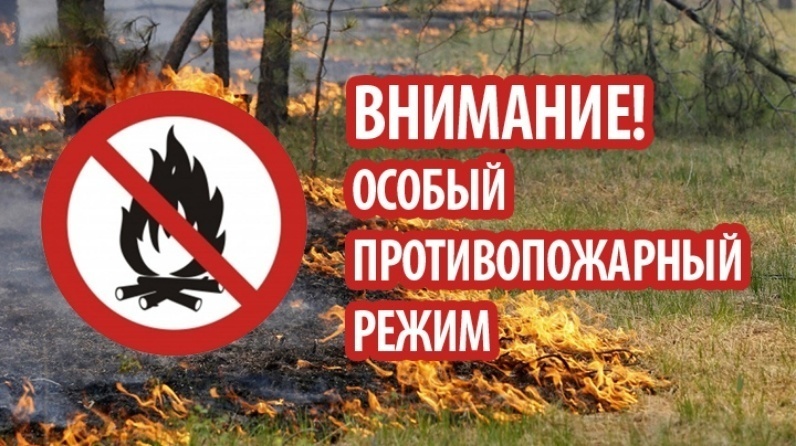 В Чувашии действует особый противопожарный режим