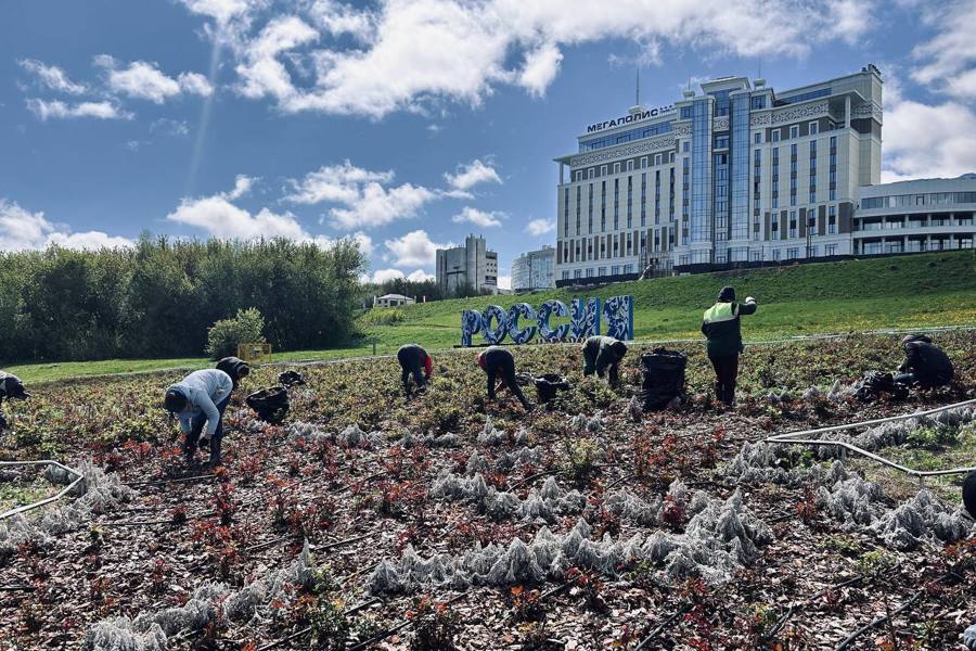 В Чебоксарах продолжаются работы по посадке цветов