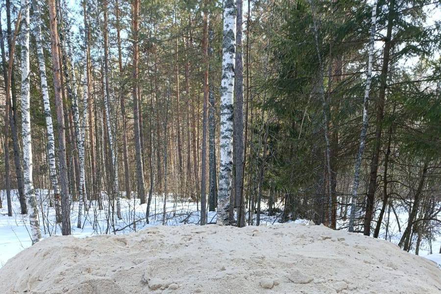 Шумерлинское лесничество готовится к лесопосадочным работам (14.03.25)