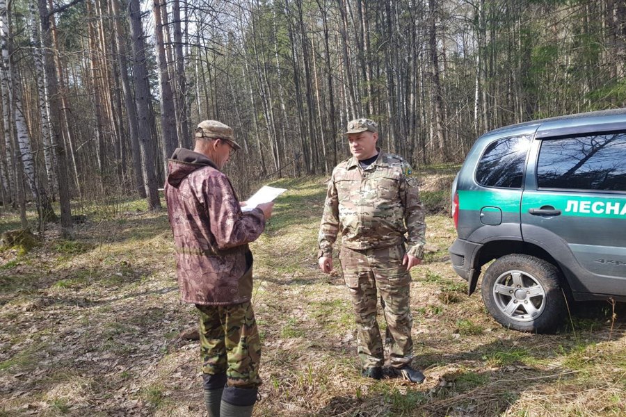 Патрулирование лесов – важная составляющая в деятельности «Лесной охраны» Минприроды Чувашии