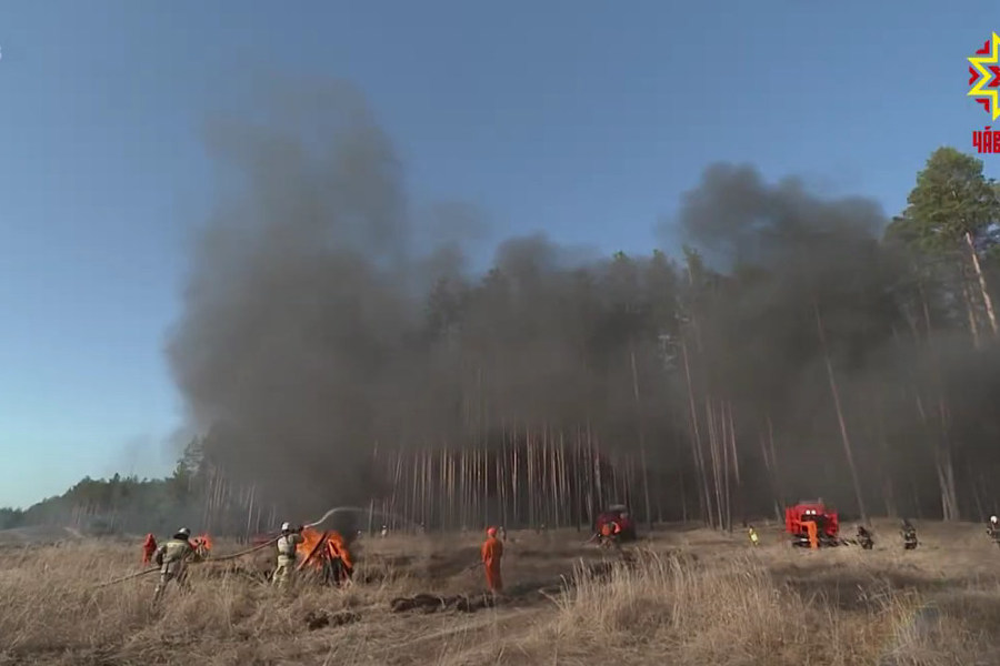 Большинство лесных пожаров в 2023 г. произошло из-за неосторожного обращения с огнем // НТРК Чувашии. 2023.11.20.