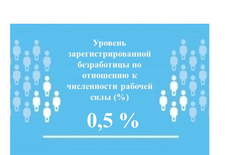 Уровень регистрируемой безработицы в Чувашии составил 0,5 %