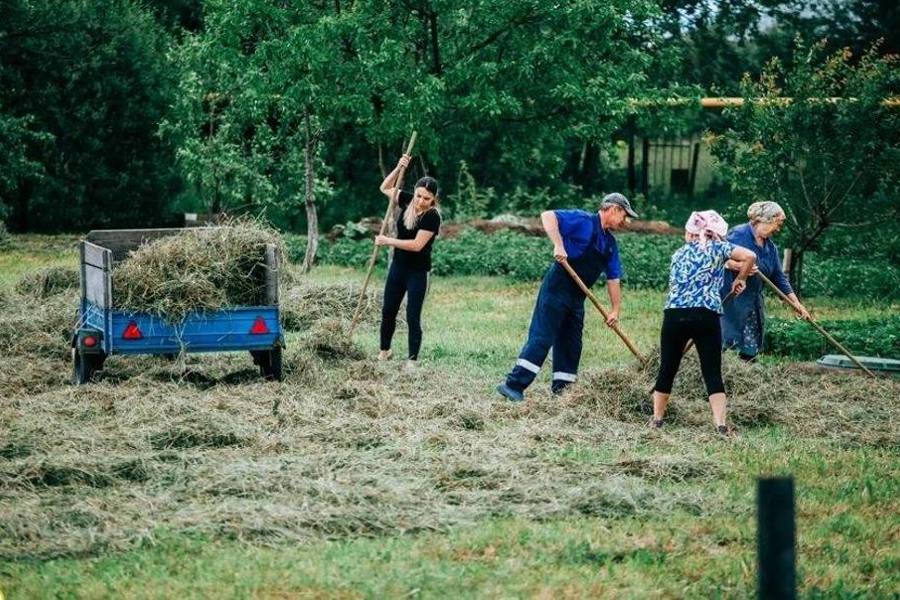 В Чувашии увеличат размер грантов для фермеров в 2025 году