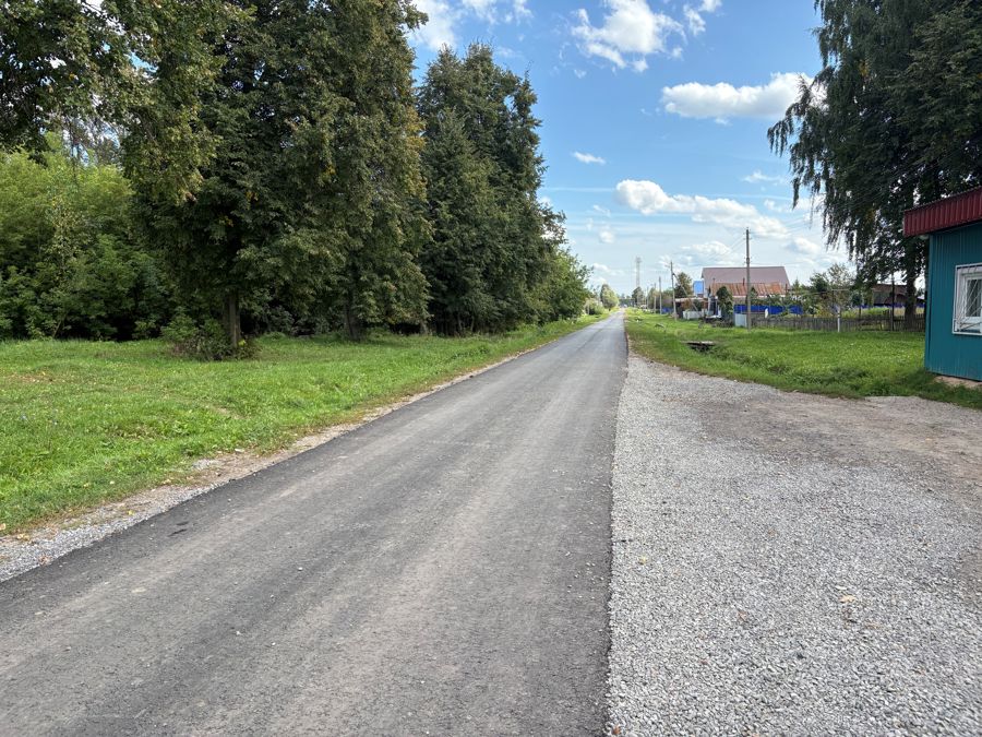 В деревне Андрюшево прошла приемка устройства асфальтового покрытия дороги по улице Пушкина