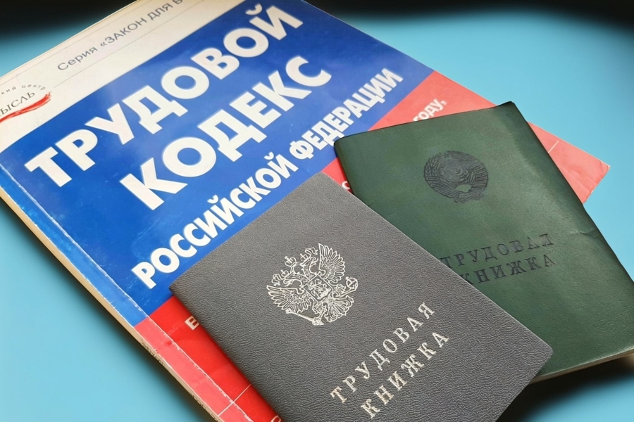 Минтруд Чувашии: о гарантиях и преимуществах официального трудоустройства