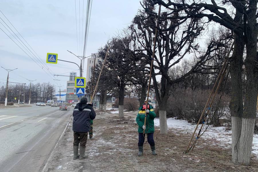 В Чебоксарах продолжаются работы по уборке случайного мусора и формовочной обрезке деревьев