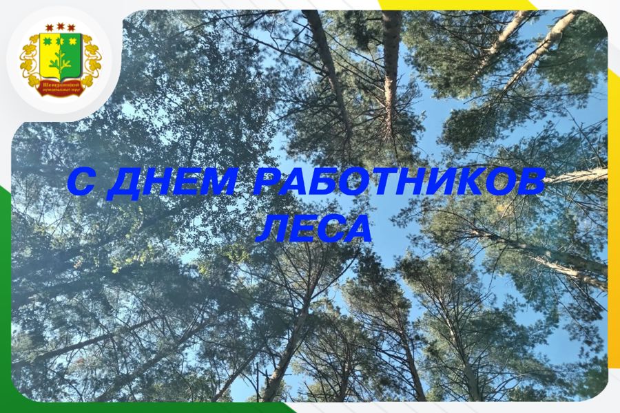 Поздравление временно исполняющего полномочия главы Шемуршинского муниципального округа Александра Сатеева с Днем работников леса