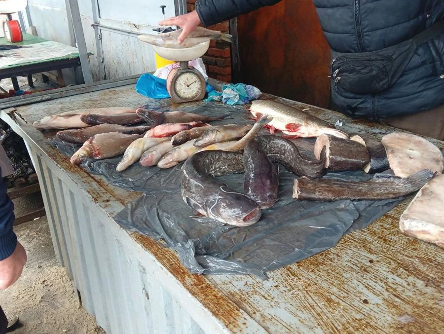С 5 по 19 апреля 2026 года в городе Алатырь прошла традиционная ярмарка «Весна-2026»