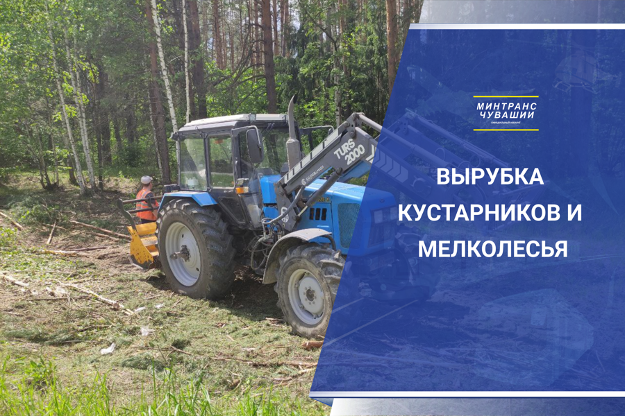 На автомобильной дороге Чебоксары – Сурское продолжается вырубка кустарников и мелколесья