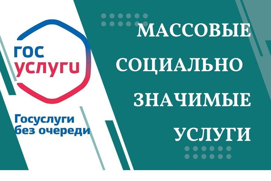 Муниципальные социально значимые услуги в электронном виде. Признание садового дома жилым домом и жилого дома садовым домом