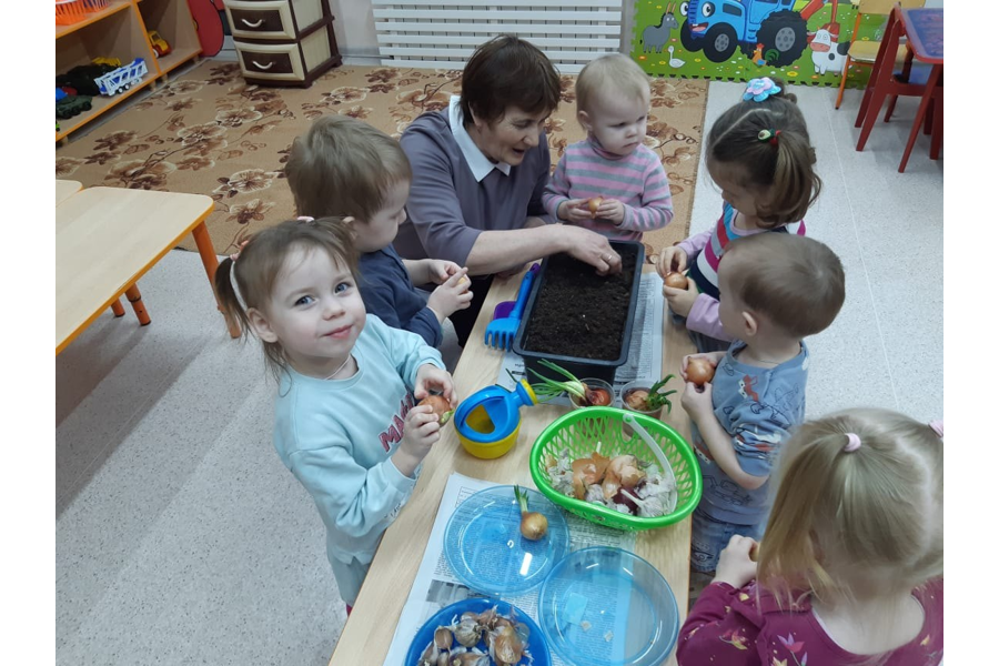 В МБДОУ «Детский сад №1» Березка» открылась исследовательская мини-лаборатория «Огород на подоконнике»