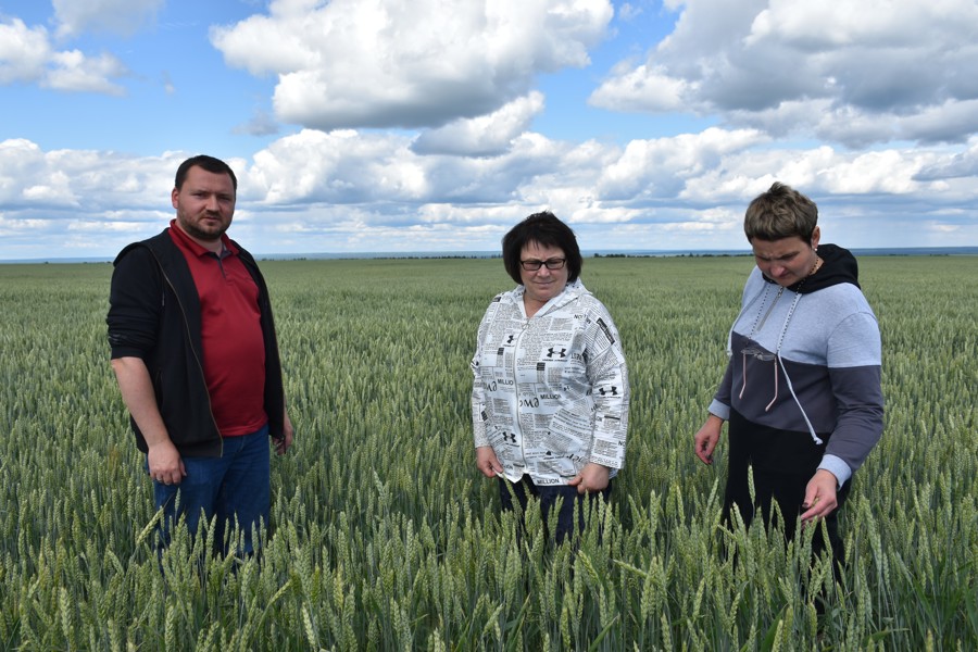 Глава муниципального округа Нина Ивановна Шпилева ознакомилась с ходом подготовки почвы под сев озимых культур урожая 2024 года