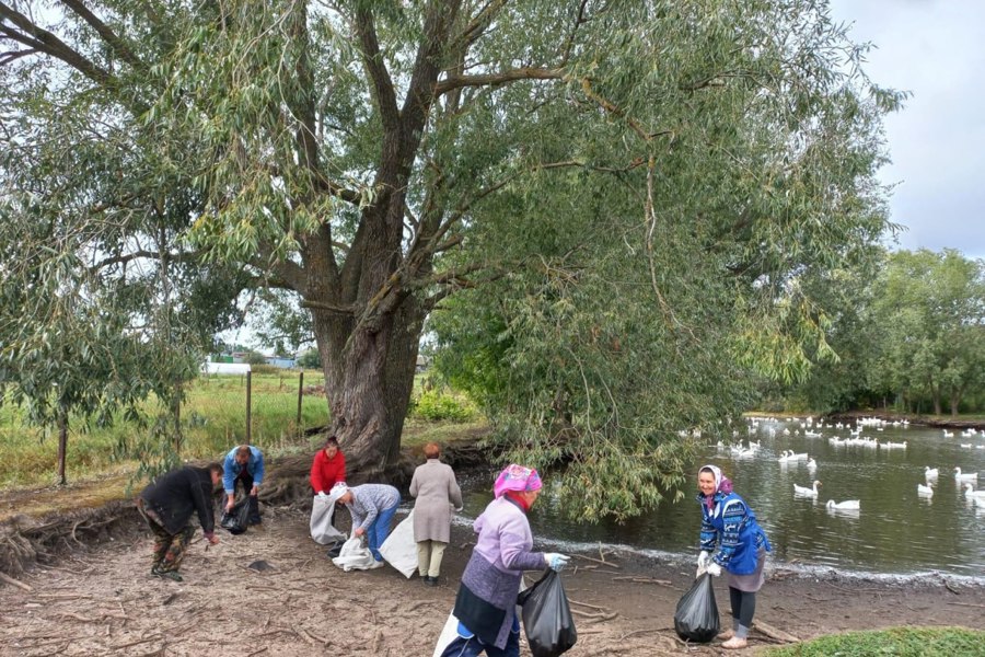 В Канашском муниципальном округе продолжается акция «Вода России»