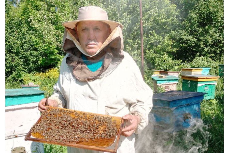 Пчеловод из Красночетайского округа победил в грантовом конкурсе «Агростартап-2023»