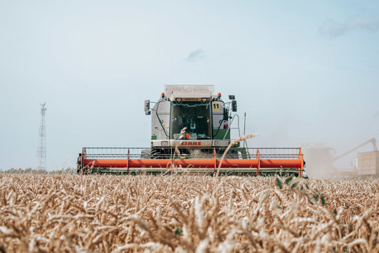 В Чувашии во ФГИС «Зерно» осталось разместить данные по реализации 15% урожая прошлого года