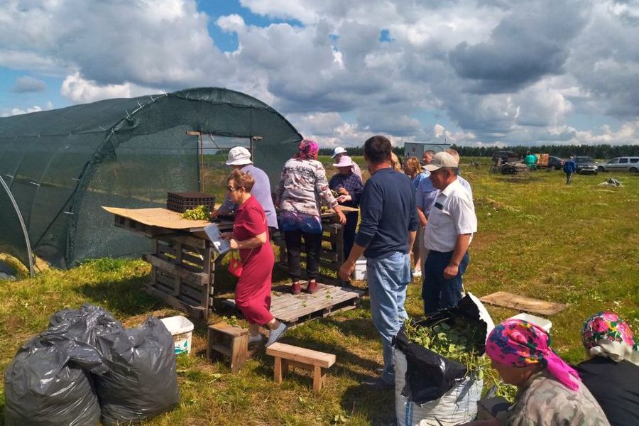 Заседание Общественной палаты Моргаушского округа прошло на территории Шатьмапосинского ТО