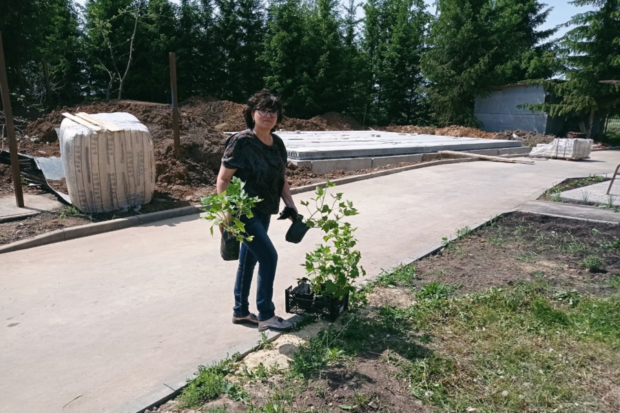 22 мая дан старт реализации проекта  по озеленению и благоустройству территории стационарного отделения Шумерлинского комплексного ЦСОН