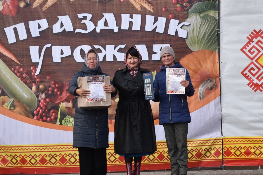 День урожая