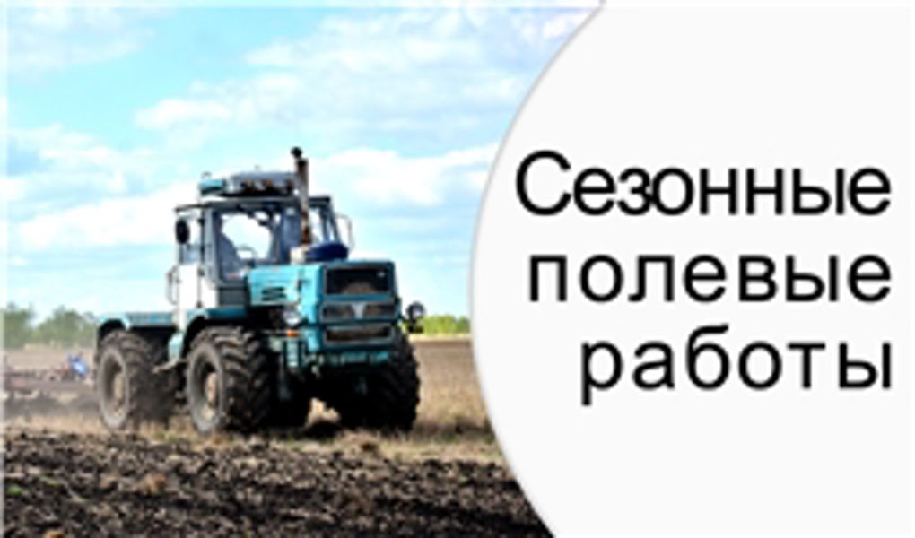 Сезонный травматизм в АПК: профилактика в период полевых работ