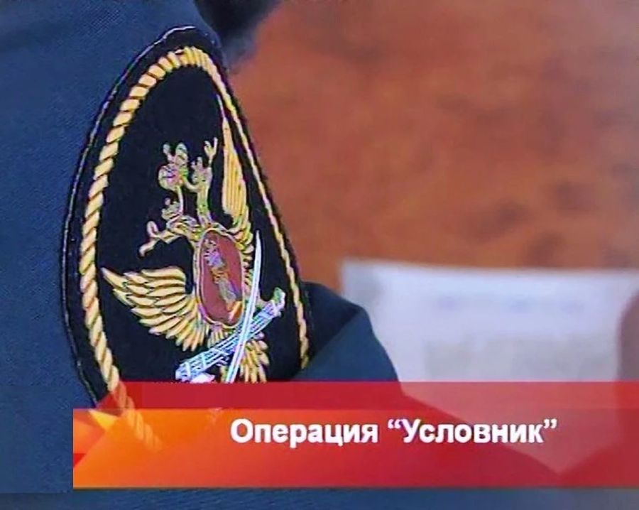 С 10 по 14 августа 2026 года на территории Алатырского муниципального округа проходит