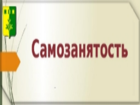 Самозанятость в Шемуршинском районе