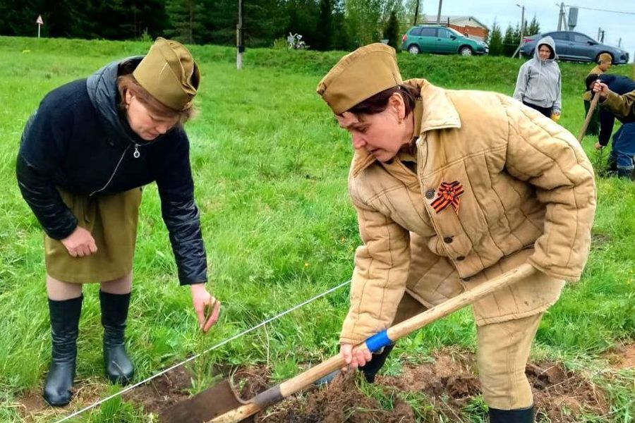 Испуханцы посадили лес Победы — 80 сосен к юбилею Великой Победы