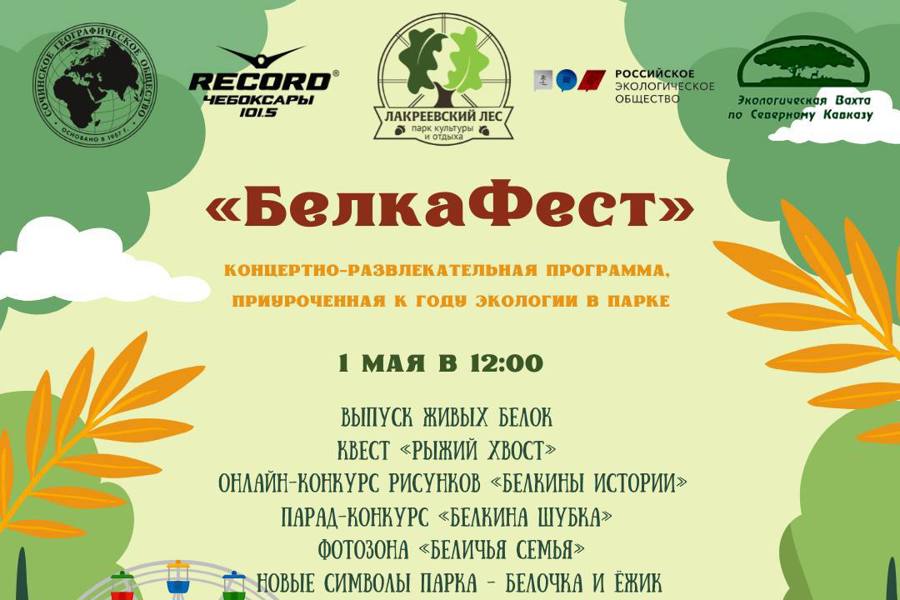 1 мая в Лакреевском лесу выпустят новых белок и проведут «Белка-фест»