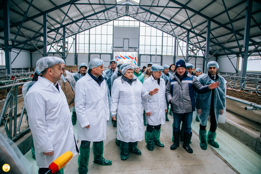 СХПК «Коминтерн» в Чувашии в 4 раза увеличил производство молока благодаря реализации крупного сельхозинвестпроекта