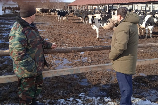 Развитие животноводства в приоритете