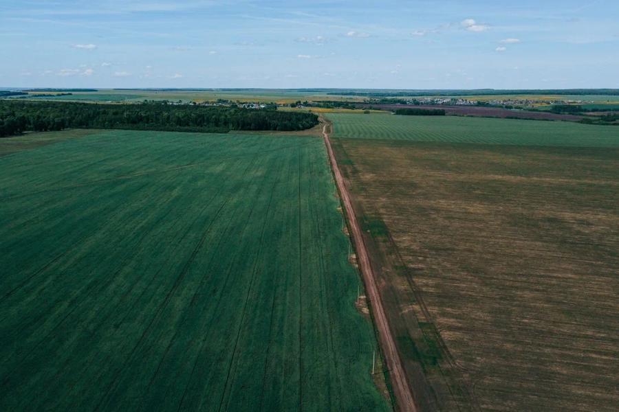 Сергей Артамонов: региональная поддержка для возмещения затрат на известкование почв поможет повысить урожайность