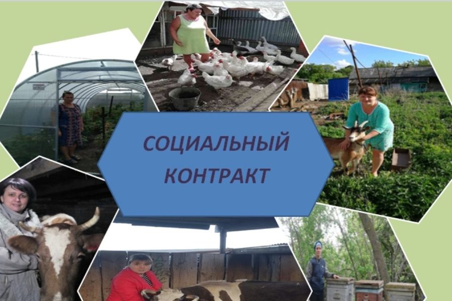 Социальный контракт на ведение личного подсобного хозяйства