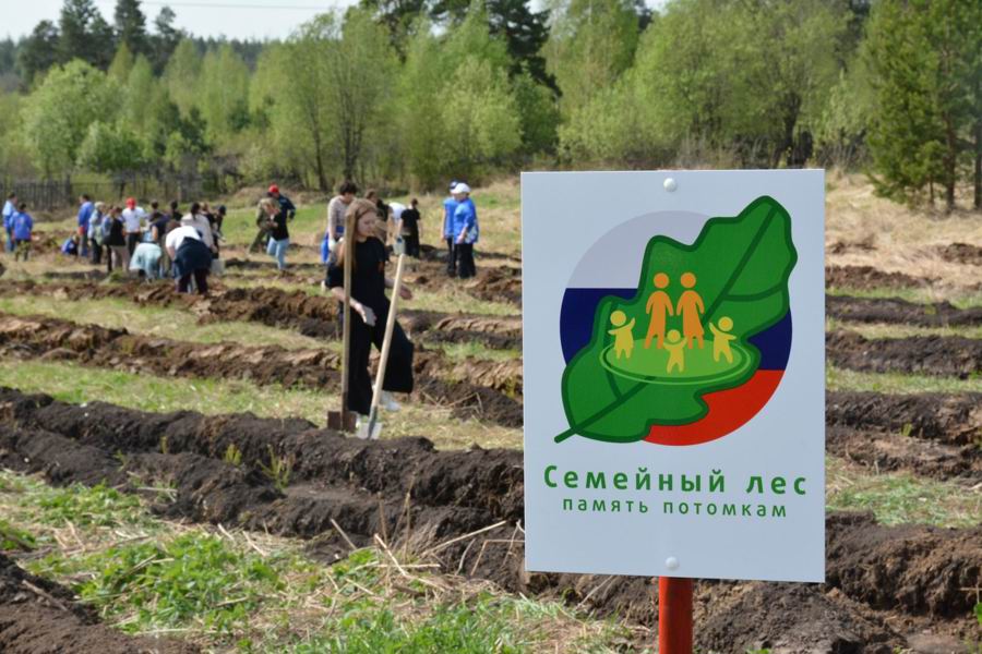 В поселке Вурнары прошла акция «Семейный лес»