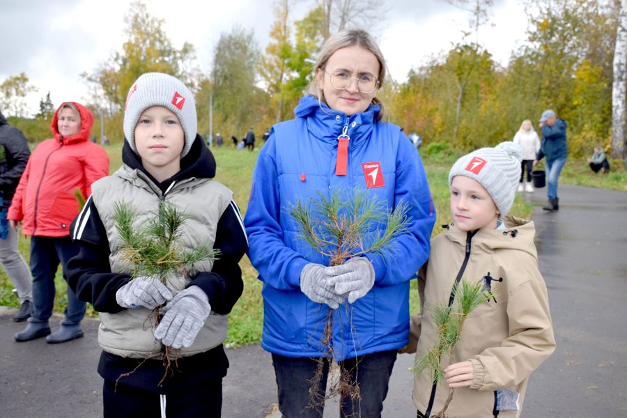 В парке 50-летия Победы села Красные Четаи высадили 200 «памятных» саженцев кедра