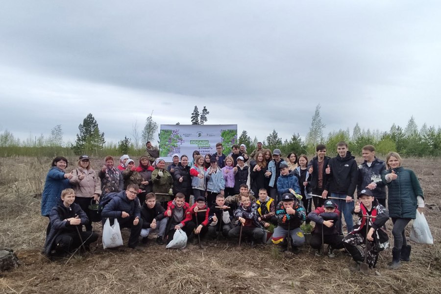 Сад Памяти Алатырское лесничество (27.04.2023)