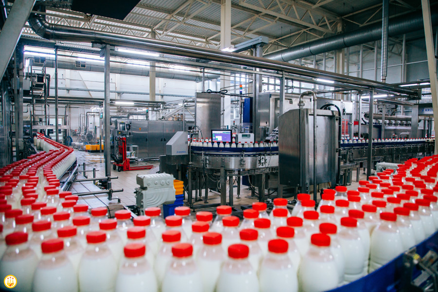 Господдержка на прирост объёмов переработанного молока по итогам 2023 года увеличилась в 3 раза
