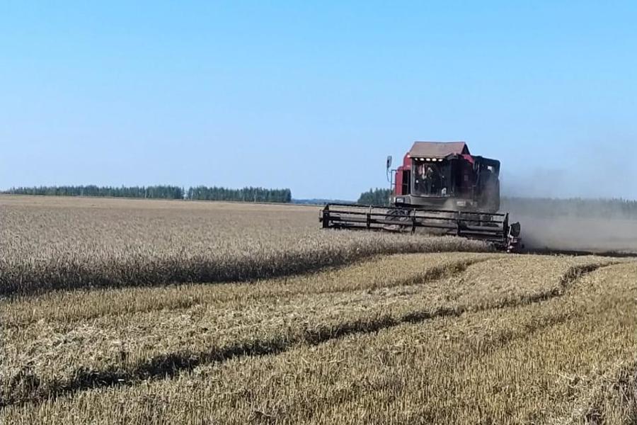 Погода благоволит аграриям. Уборка урожая идет полным ходом