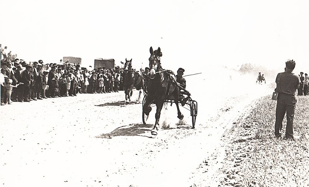 Память в кадре. (к 100-летию конезавода).