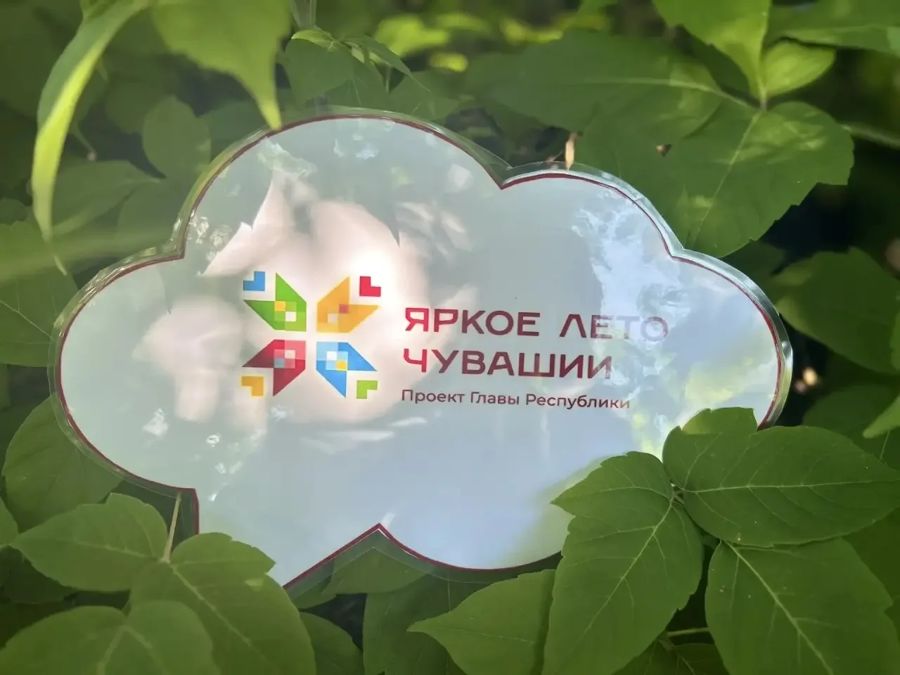 Проект «Яркое лето Чувашии» в Ибресинском округе насыщен событиями