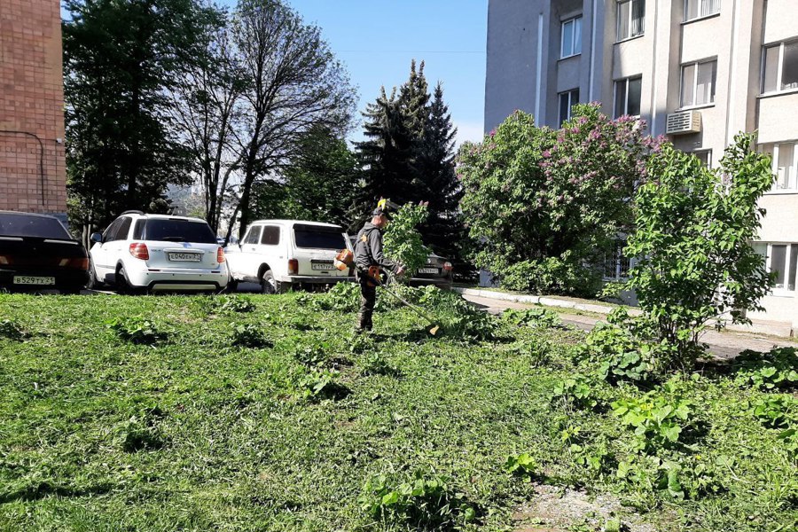 В Чебоксарах ведется активная работа по покосу травы